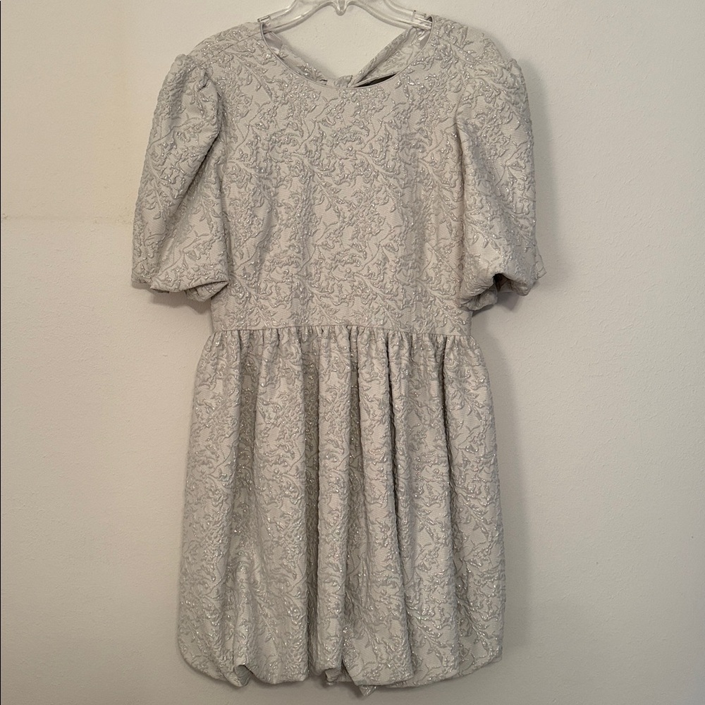 ANTONIO MELANI Silver Dress